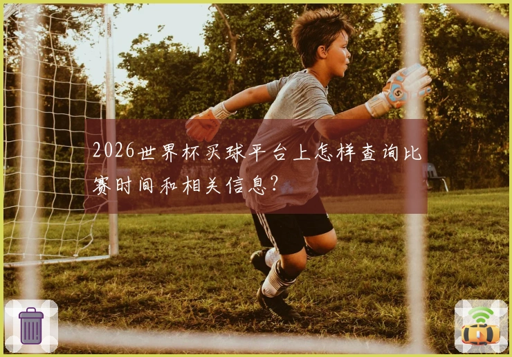 2026世界杯买球平台上怎样查询比赛时间和相关信息？