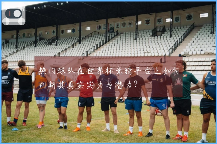 热门球队在世界杯竞猜平台上如何判断其真实实力与潜力？