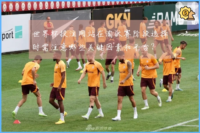 世界杯投注网站在淘汰赛阶段选择时需注意哪些关键因素和平台？