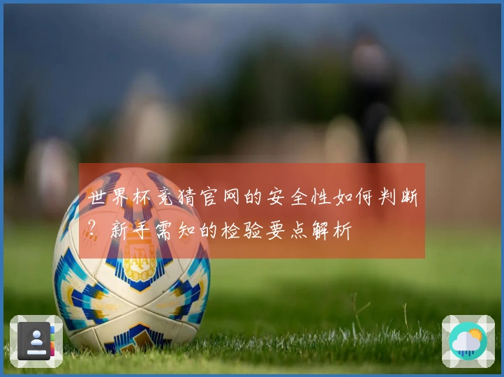 世界杯竞猜官网的安全性如何判断?新手需知的检验要点解析