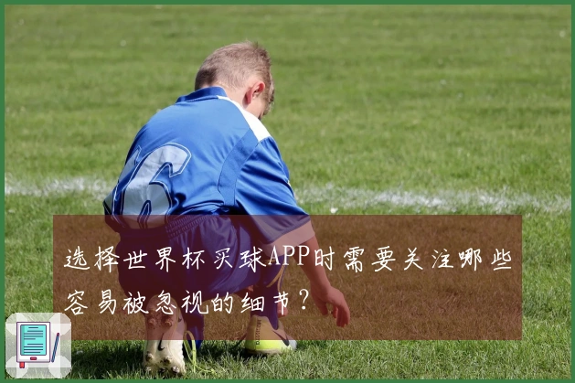 选择世界杯买球APP时需要关注哪些容易被忽视的细节？