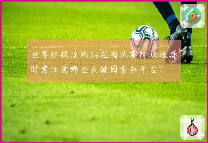 世界杯投注网站在淘汰赛阶段选择时需注意哪些关键因素和平台？