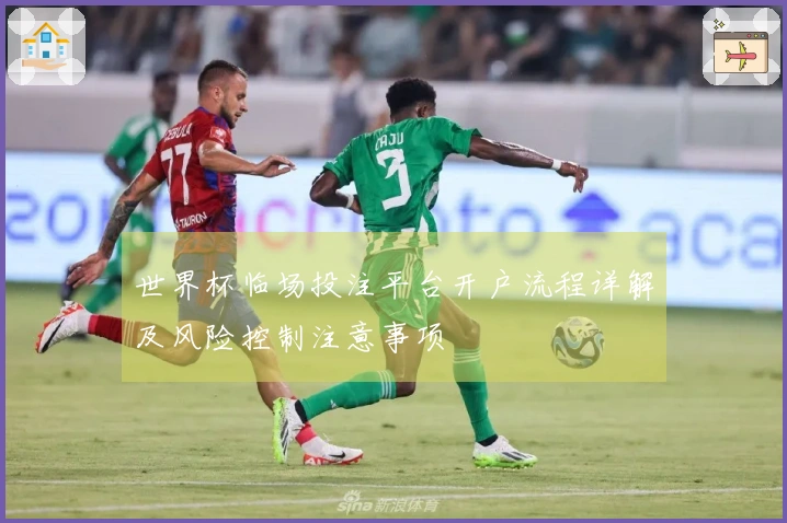 世界杯临场投注平台开户流程详解及风险控制注意事项