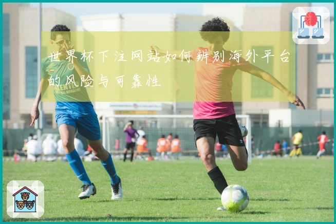 世界杯下注网站如何辨别海外平台的风险与可靠性