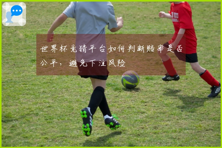 世界杯竞猜平台如何判断赔率是否公平，避免下注风险