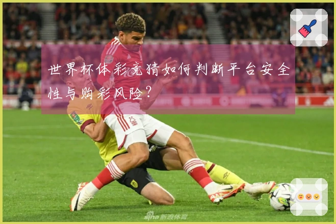 世界杯体彩竞猜如何判断平台安全性与购彩风险？