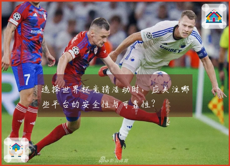 选择世界杯竞猜活动时，应关注哪些平台的安全性与可靠性？