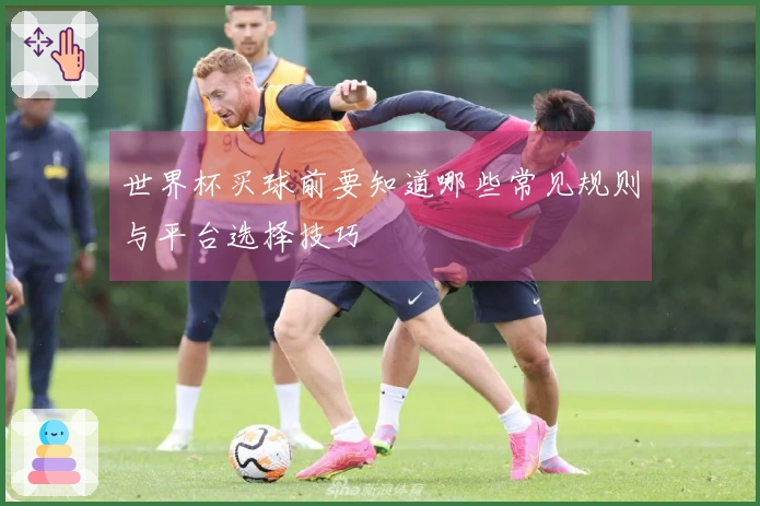 世界杯买球前要知道哪些常见规则与平台选择技巧