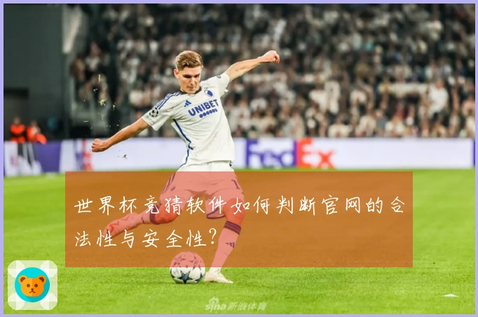 世界杯竞猜软件如何判断官网的合法性与安全性？