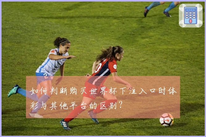 如何判断购买世界杯下注入口时体彩与其他平台的区别？