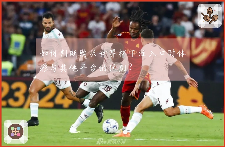 如何判断购买世界杯下注入口时体彩与其他平台的区别？