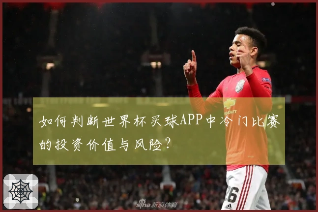 如何判断世界杯买球APP中冷门比赛的投资价值与风险？