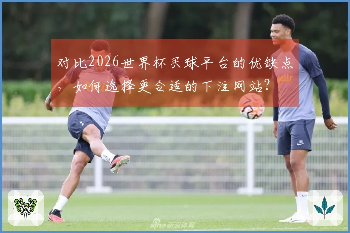 对比2026世界杯买球平台的优缺点，如何选择更合适的下注网站？