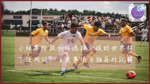 小组赛阶段如何选择合适的世界杯下注网站？注意事项与推荐对比解析