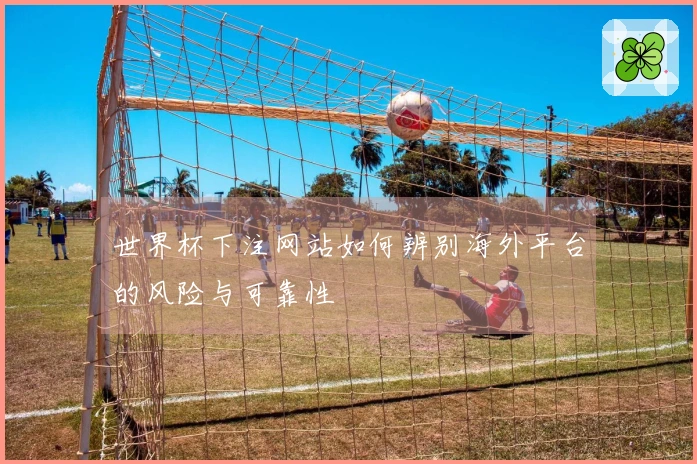 世界杯下注网站如何辨别海外平台的风险与可靠性