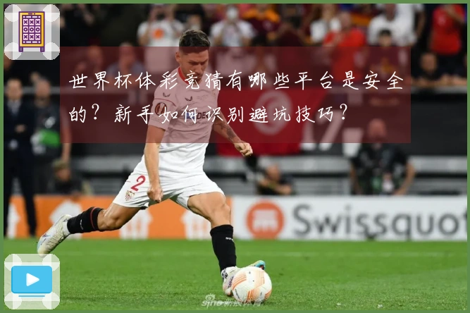 世界杯体彩竞猜有哪些平台是安全的？新手如何识别避坑技巧？