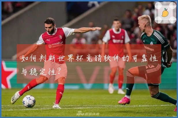 如何判断世界杯竞猜软件的可靠性与稳定性?