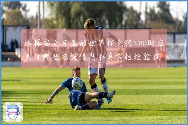 选择安全可靠的世界杯竞猜app时应关注哪些场馆信息和真实性检验技巧