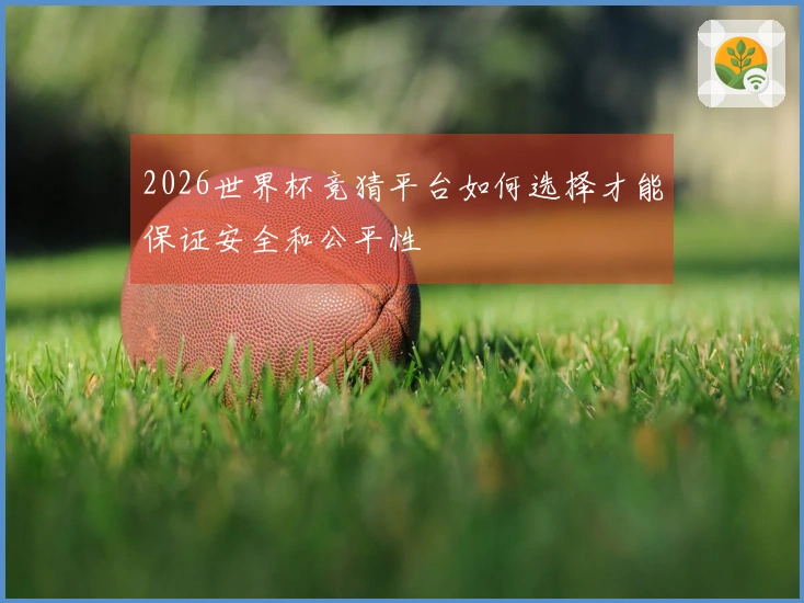 2026世界杯竞猜平台如何选择才能保证安全和公平性