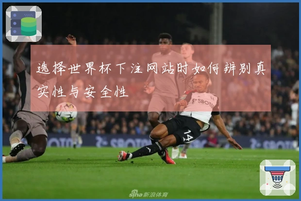 选择世界杯下注网站时如何辨别真实性与安全性